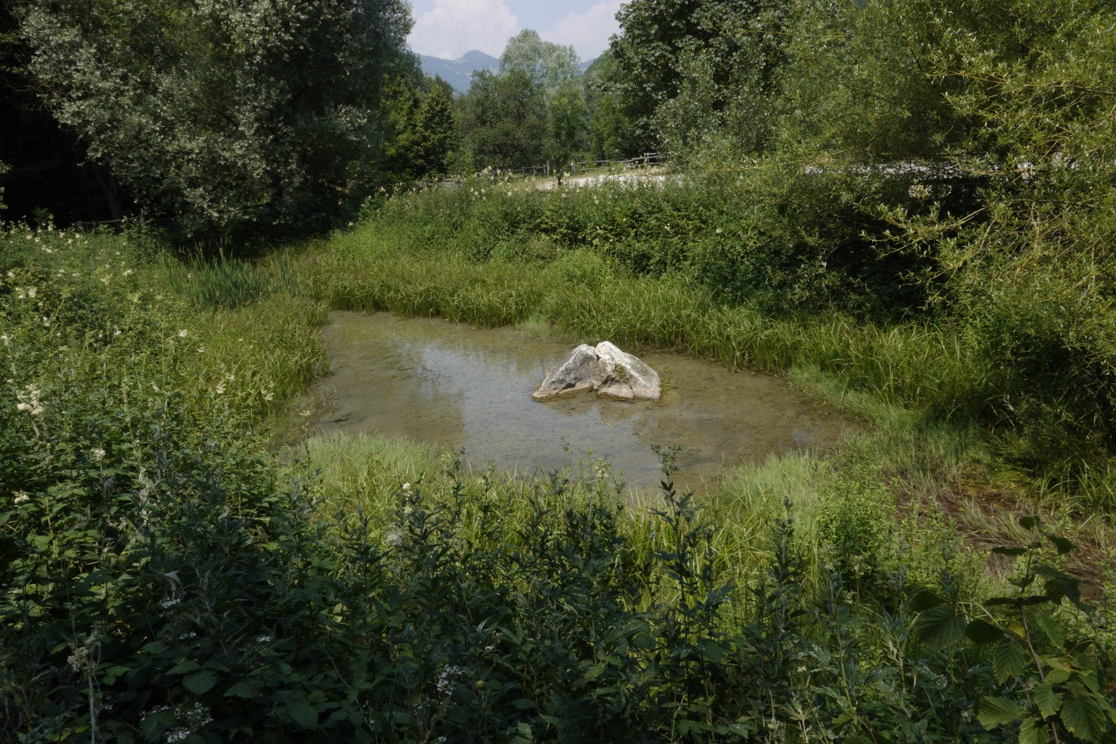 Cooperativa Montagne del Mare - Servizi aree aree attrezzate e parcheggi